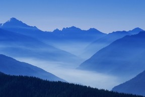 世界游泳接力队国际比赛参赛名单公示，世界游泳锦标赛接力决赛