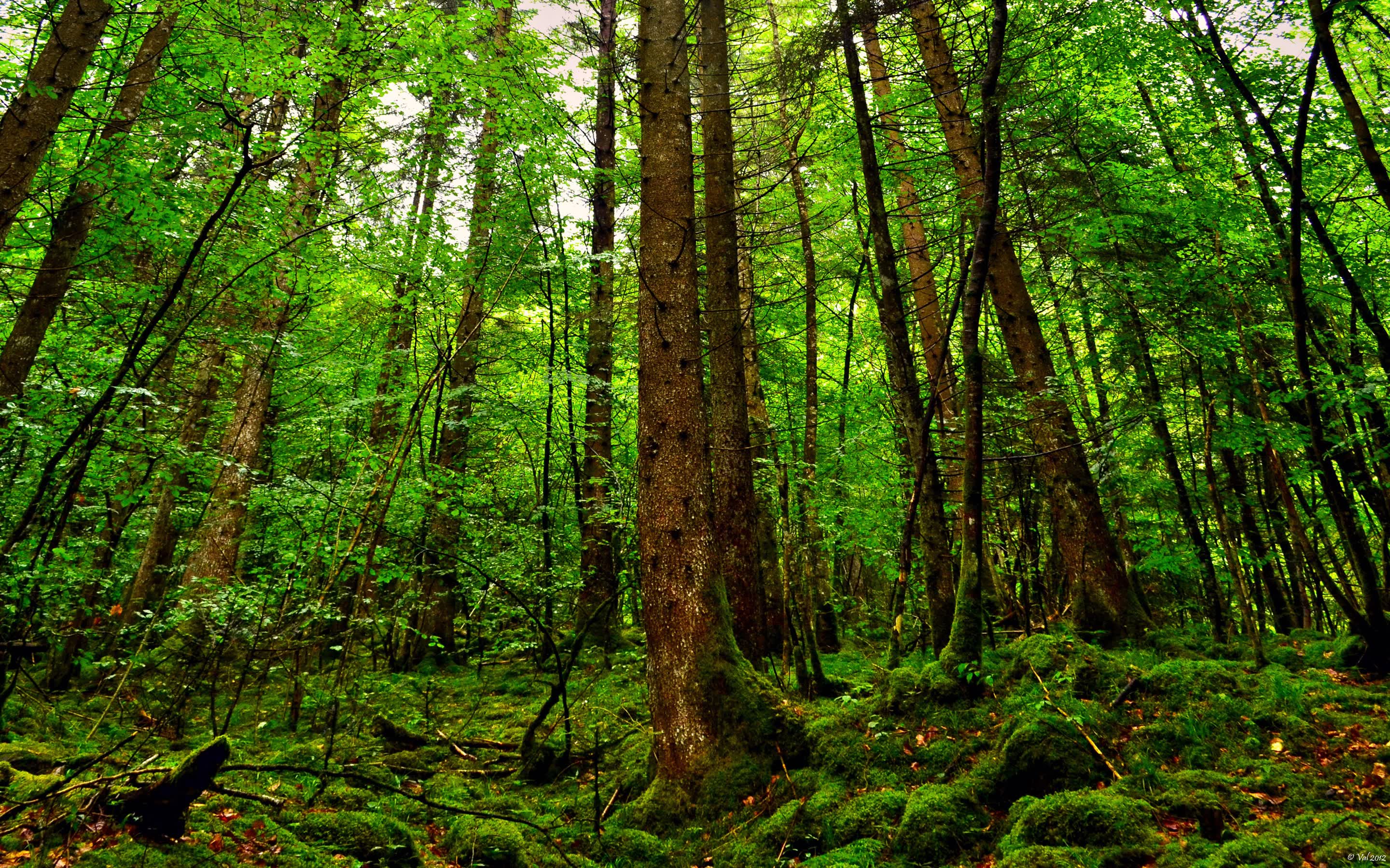世界网球大师赛:红土赛季战况白热化,网球唯一的红土赛事